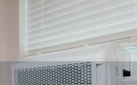 Daikin — Обслуживание и сервис VRF: инженерное руководство · 13